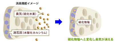 漆喰塗料 アレスシックイ