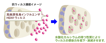 漆喰塗料 アレスシックイ